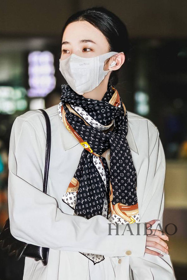 Louis Vuitton Scarf LVS00022